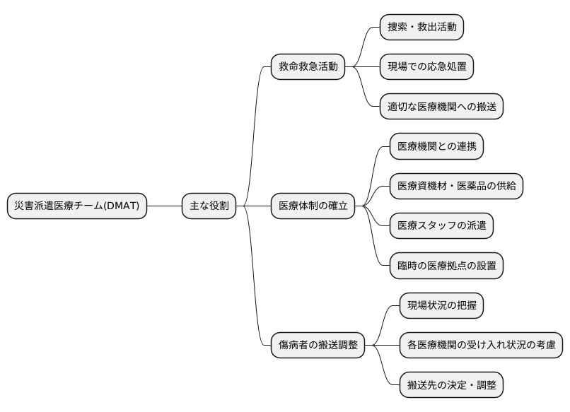 DMATの役割と活動内容