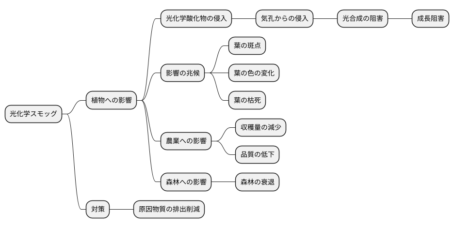 植物への影響