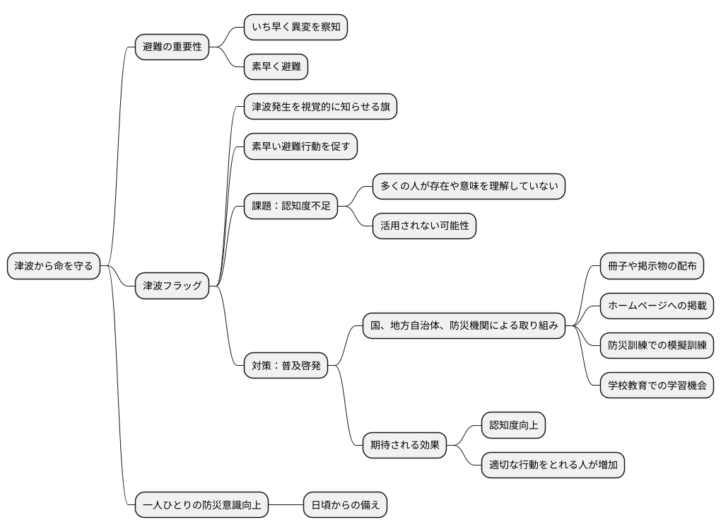 津波フラッグの普及に向けて