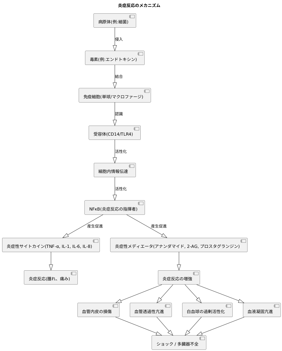 炎症反応の仕組み