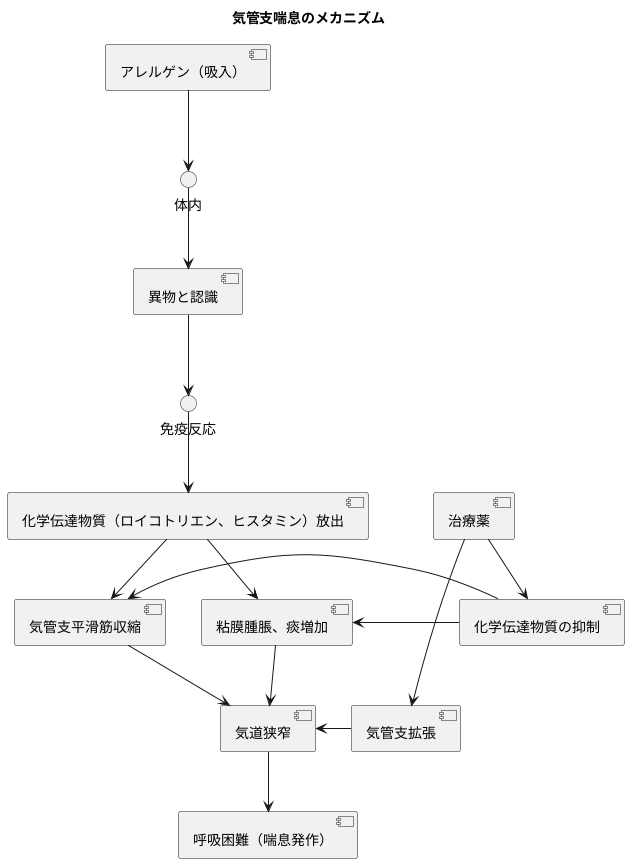 喘息における役割