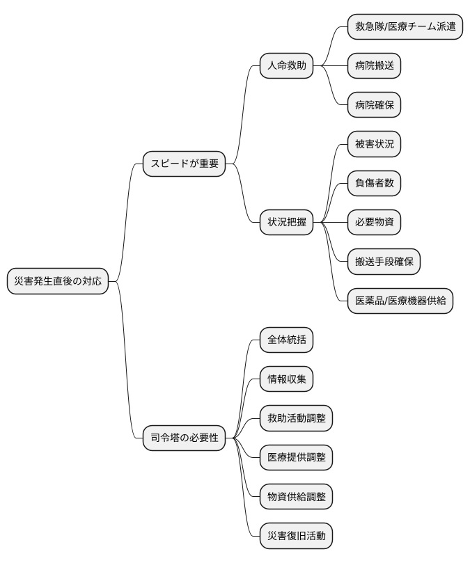 災害発生直後:迅速な対応
