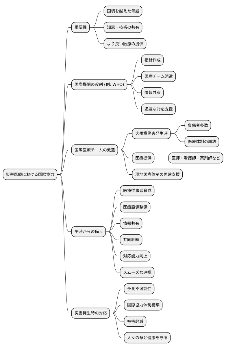 国際協力と災害医学