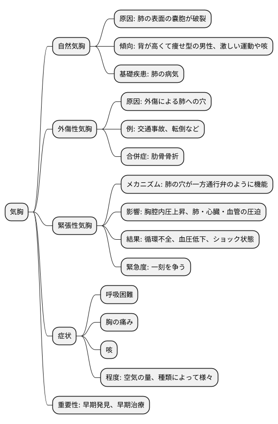 胸腔内の空気の貯まり：気胸