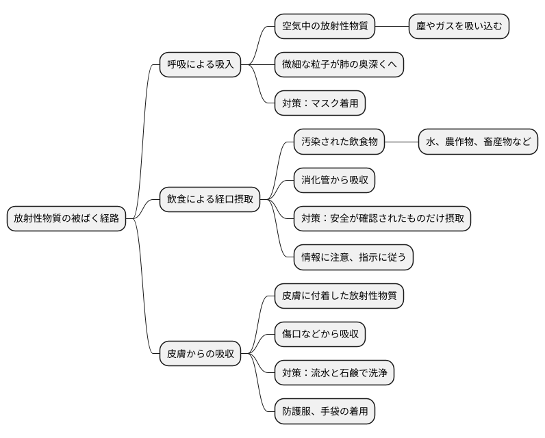 被ばく経路の理解