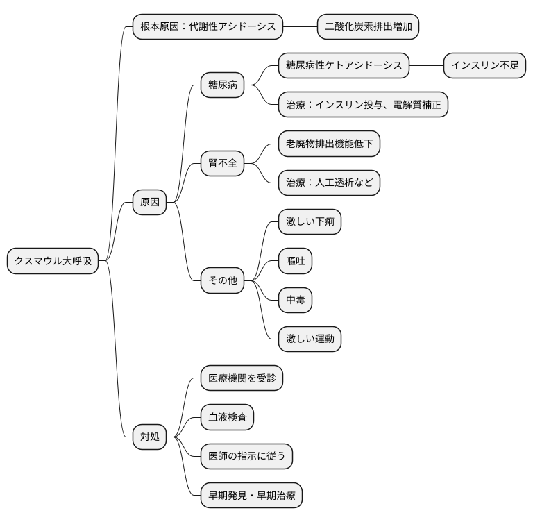 クスマウル大呼吸への対処