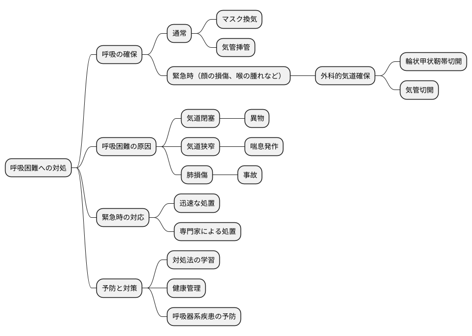 呼吸困難時の緊急手段