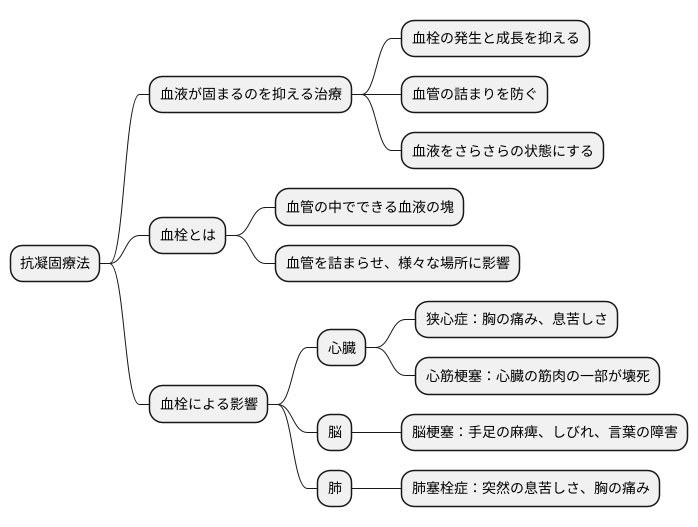 抗凝固療法とは