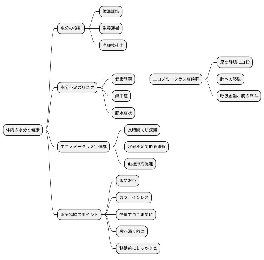 水分補給の重要性