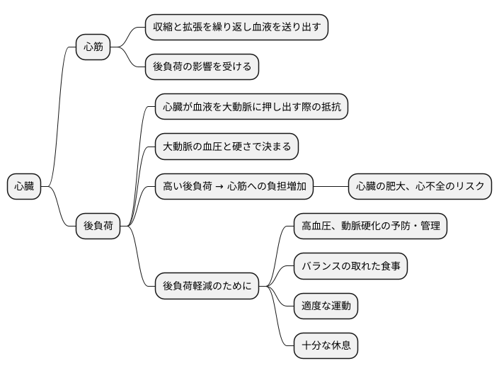 後負荷:心臓の壁への負担