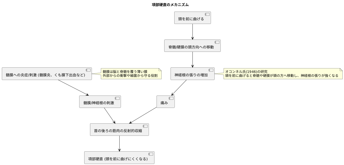 項部硬直の仕組み