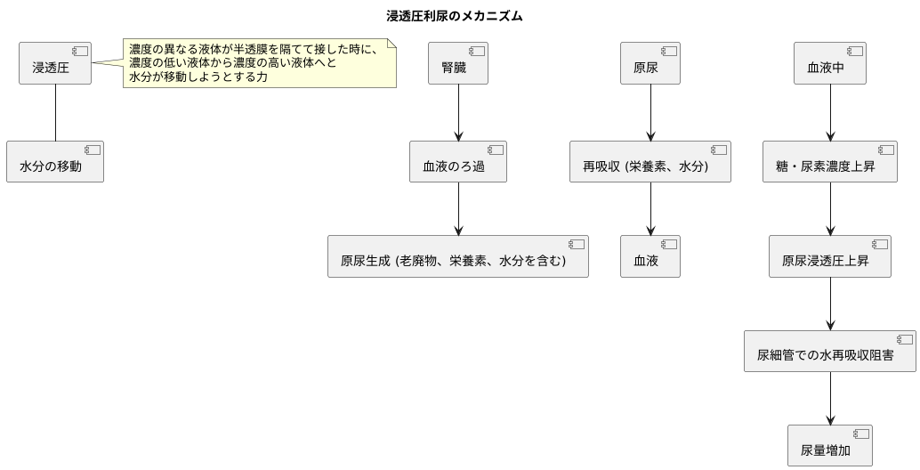 浸透圧利尿の仕組み