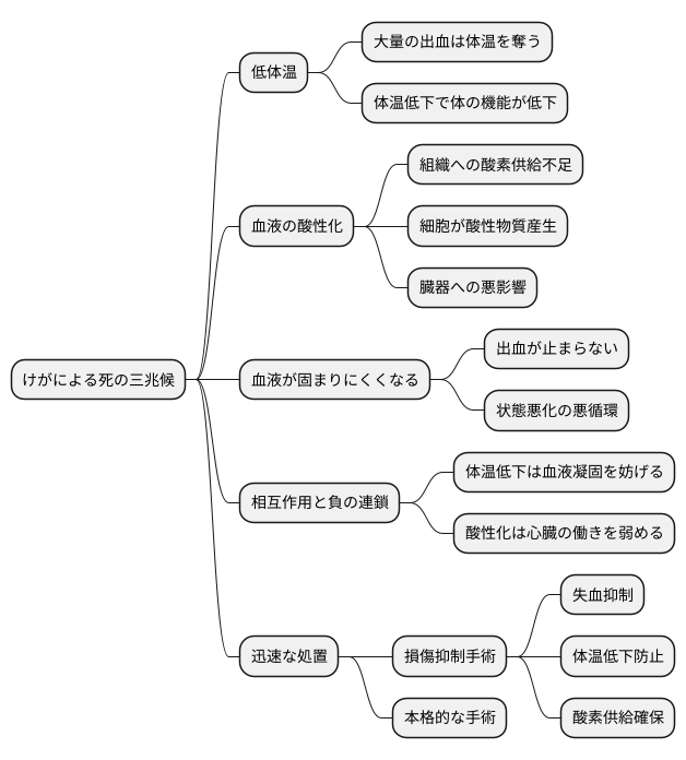 外傷死の三徴と適応