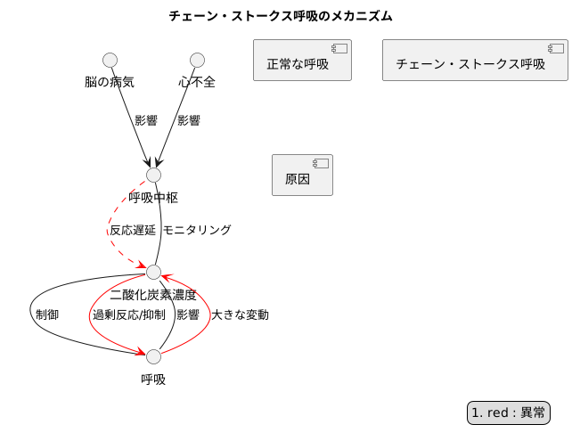 呼吸の波が生じる仕組み