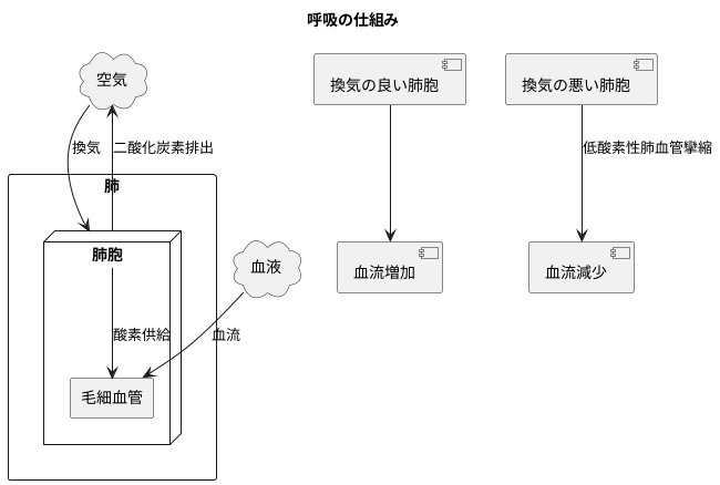 ガス交換の効率と血流調整