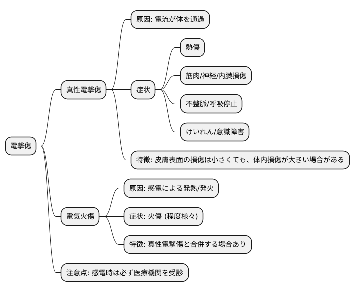 電撃傷とは