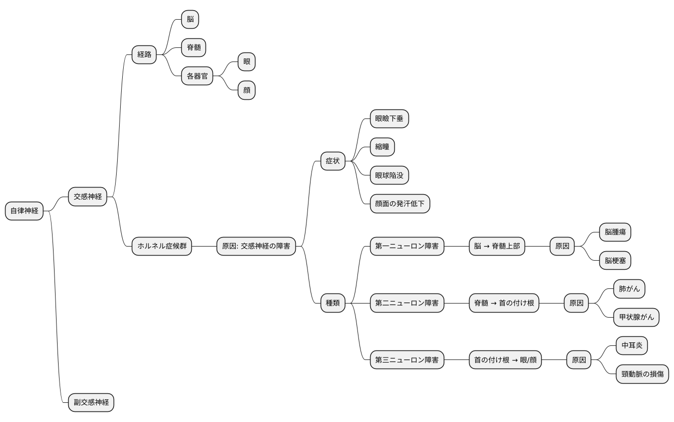 交感神経の経路と障害部位