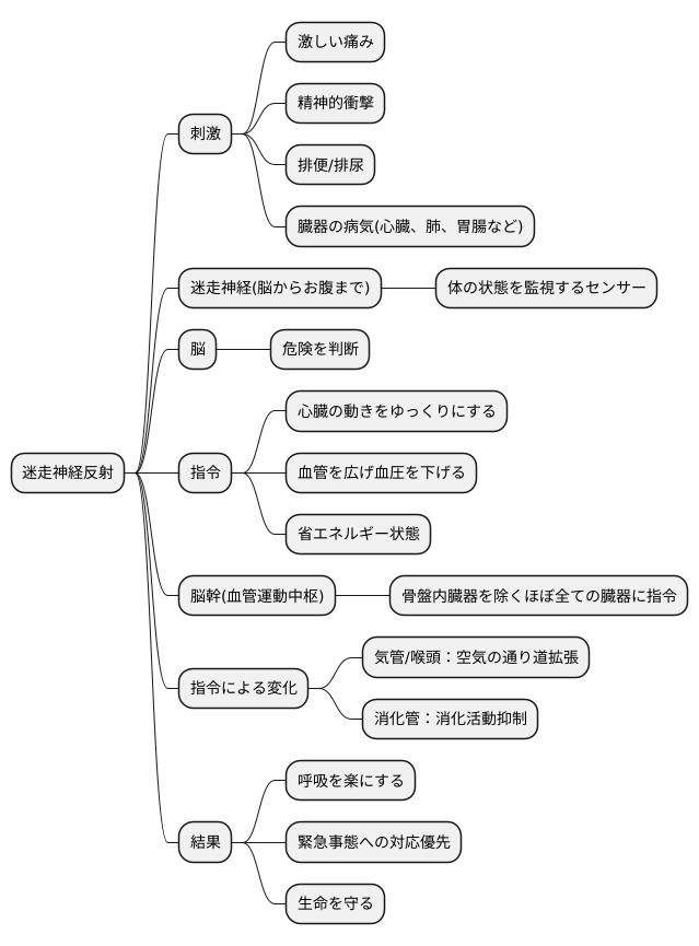 迷走神経反射とは